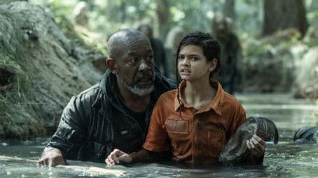 Remember What They Took from You