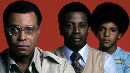 Roots: The Next Generations - The Legacy Continues