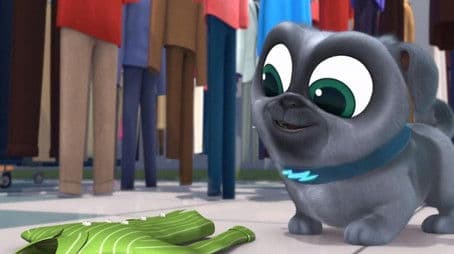 The Great Shirt Rescue