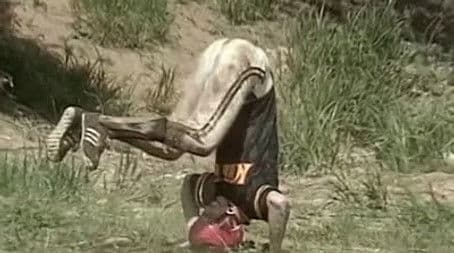 Meat Handlers vs. Cartoon Voice Actors