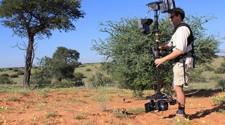 Wildlife Film Making