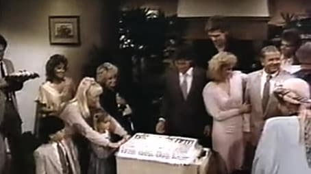 Eight is Enough - A Family Reunion