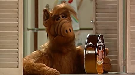 I've Got a New Attitude