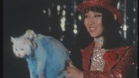 Blitzkrieg Magic Battle! Program of Darkness