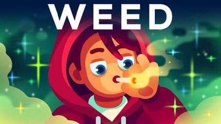 We Have To Talk About Weed