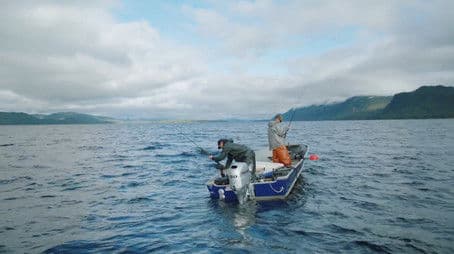 Alaska Fish: Exploring the Waters of Southeast Alaska