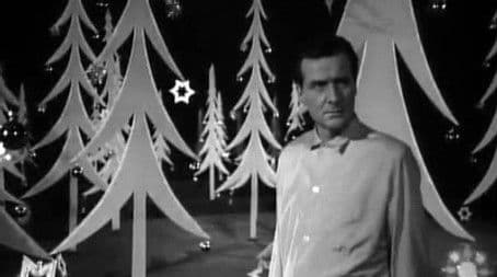 Too Many Christmas Trees