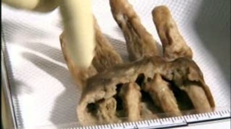 Hostile Takeover/Shot in the Back