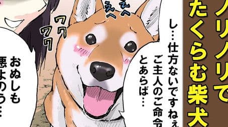 Surprise! / Setsubun / Fetch: Shibas