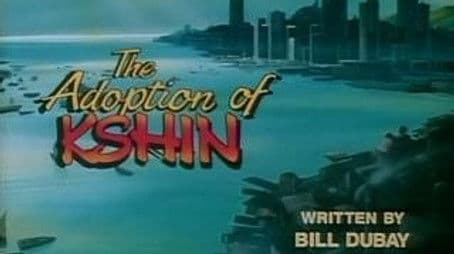 The Adoption of Kshin