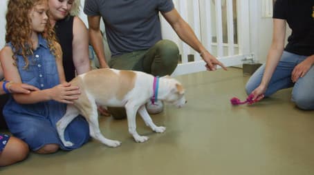 Ready for Responsibility