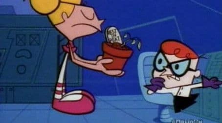 You Vegetabelieve It!