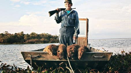 Rodents of Unusual Size