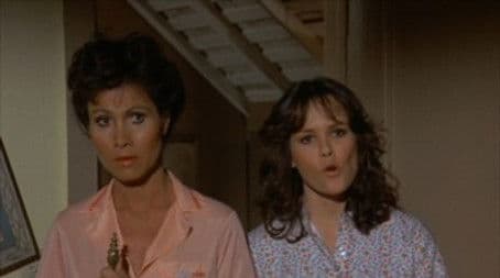 Reunion / Anniversary