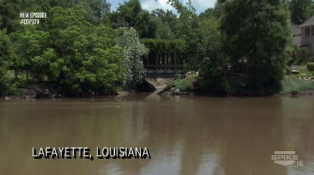 Cruisin' the Neighborhood