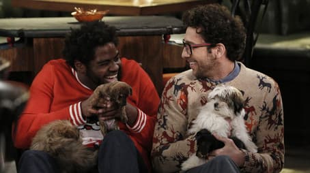 A Box of Puppies Walks Into a Bar