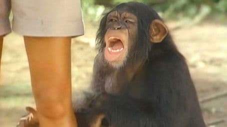 Tarzan and the Polluted River