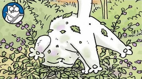 Simon Paints 'Catnip'