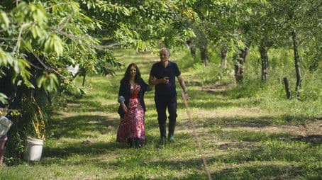 Italian Comfort Food