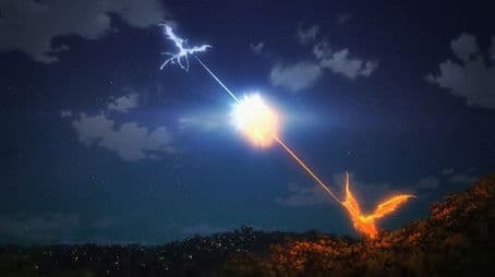 Sakura and the Fire and Water Birds