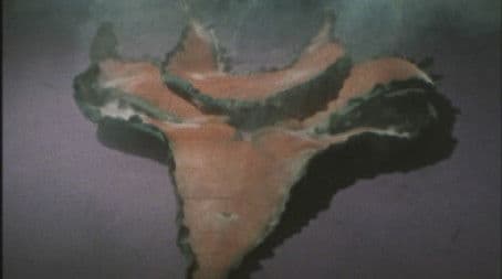 Last Stand! Breaking into Waller Castle