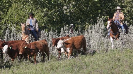 Keeping Up Appearances