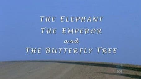 The Elephant, The Emperor and Butterfly Tree