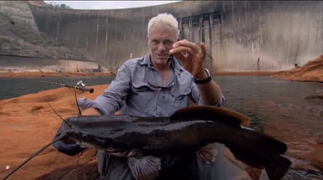 Invisible Executioner