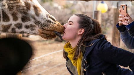 Best Friends Fur-ever