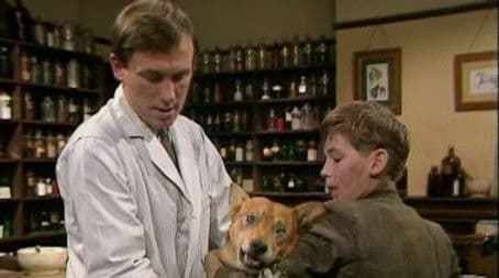 If Wishes Were Horses