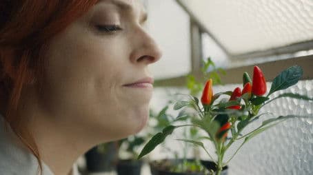 Life isn't random by chance