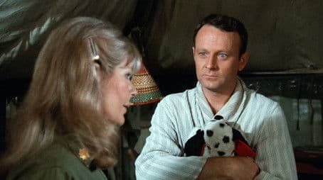 Hot Lips and Empty Arms