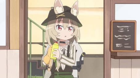 Whitewashing and Painting