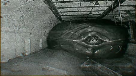 MeatSnakeSpecimen - Archived Footage