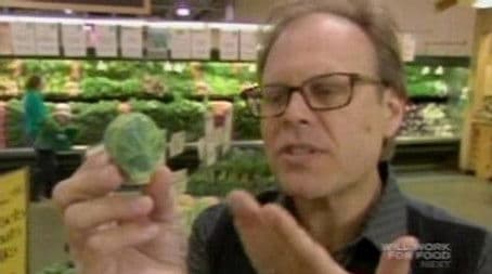 A Cabbage Sprouts in Brussels