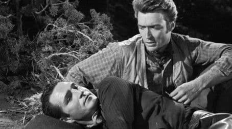 Incident of the Calico Gun