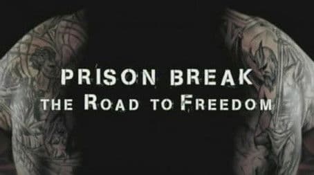 The Road to Freedom
