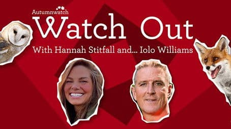 Watch Out with Hannah Stitfall and Iolo Williams