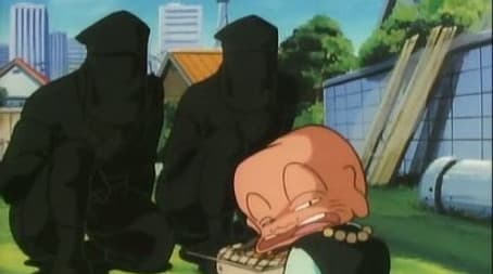 Deathmatch!! The Mendo Family Flower Display Death Match