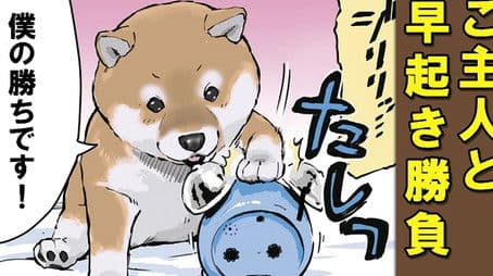 It Happens with Pet Owners / English Lessons / Alarm Clock