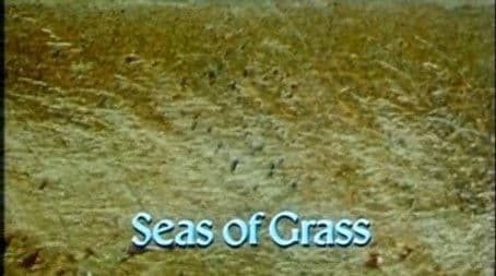 Seas of Grass