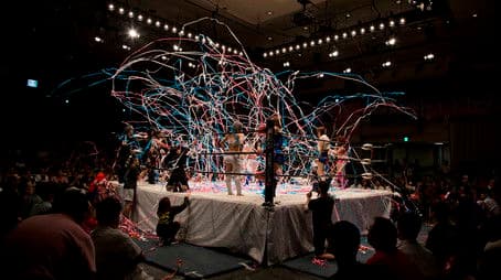 Japan's Finest Wrestlers