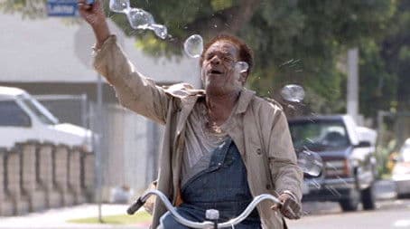 Fried Green Tomatoes