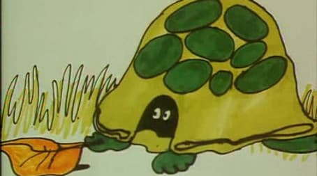 When You're Going To Fly-Fly High