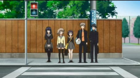 Unblooming Cherry Tree