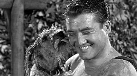 The Dog Who Knew Superman