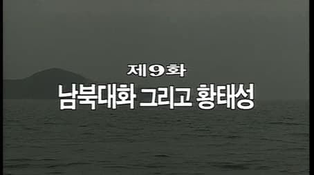 North-South Dialog and Hwang Tae