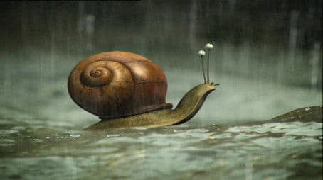 It Never Rains But It Pours