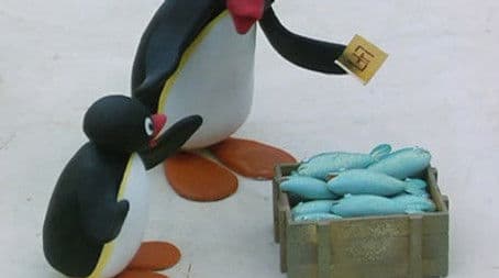 Pingu Draws a Winner