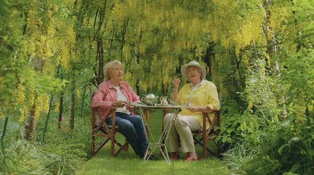 Episode 13 Seeds, Shade, Habitat, Family, Meditate & Bulb